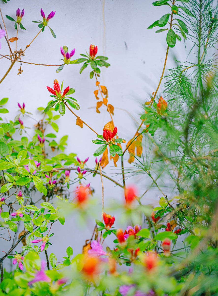 #377. ‘연결감’에 대해&nbsp;생각하기.