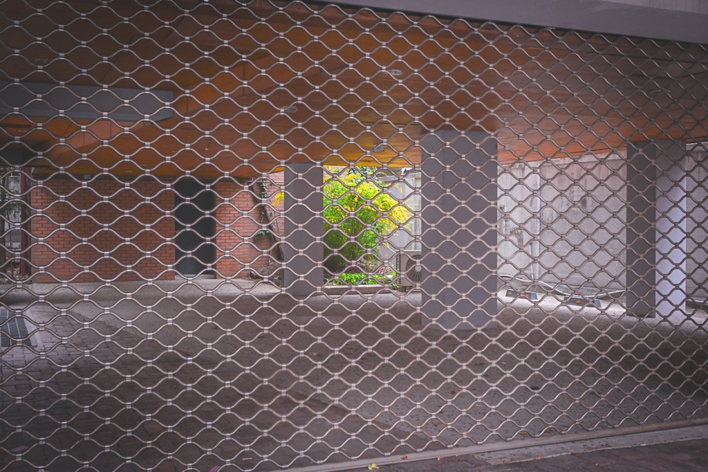 #366. 자연광 포트레이트를 시도했다! 더 하고&nbsp;싶다!