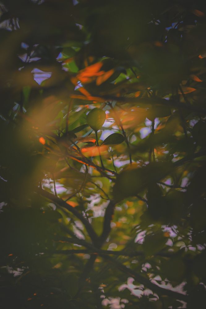 #369. 내 버전의 ‘자연스러운’ 가족사진에 대한&nbsp;질문.