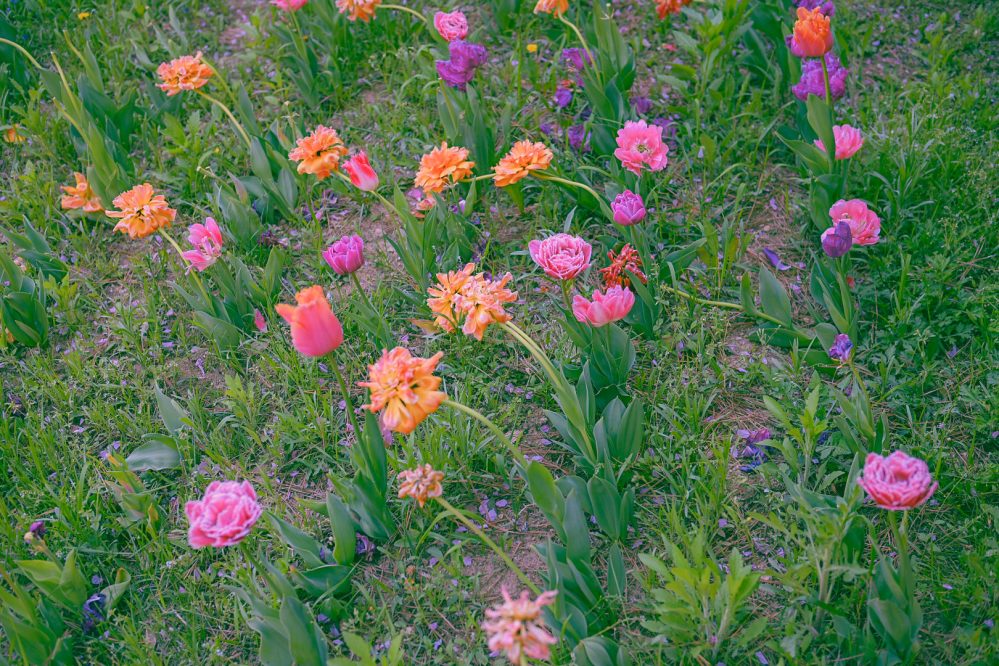 #375. 진짜 숙제: 내가 골몰하는 대상의 실체는 무엇인가? 지금 염두에 두는 여러 프로젝트, 산발적인 그 아이디어들이 사실은 하나로부터 나온 것이라면, 그는 무엇인가? 그것이 나의 이 고민들, 그리고 앞으로도 다룰 메시지, 즉 ‘왜’를 설명할 수&nbsp;있다.