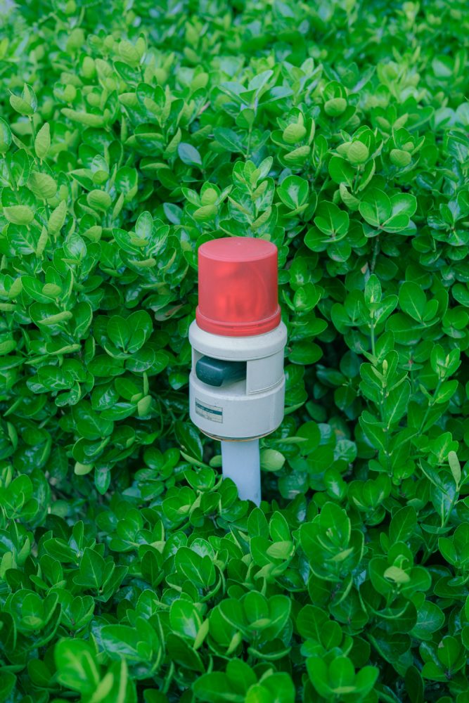 #397. 며칠 전&nbsp;생활사진