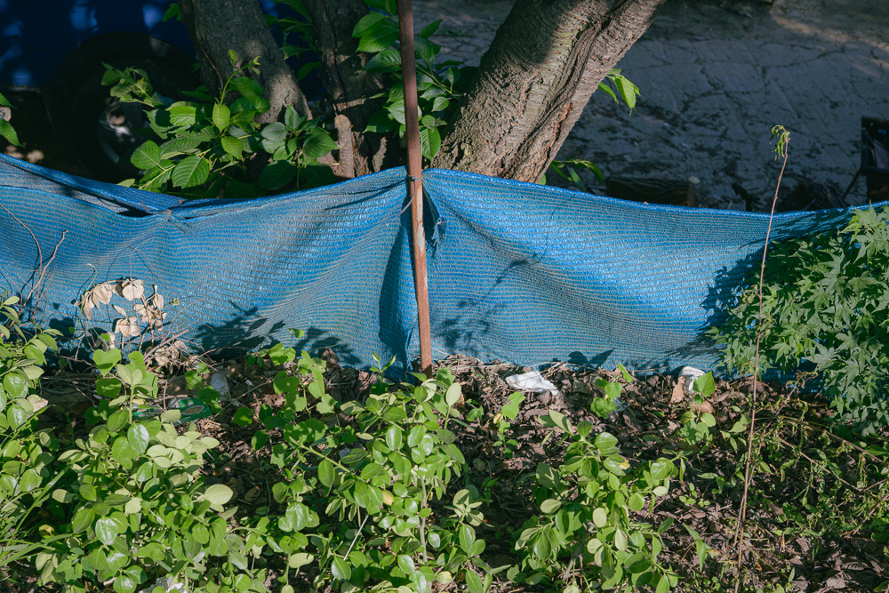 #403. 사진은 동그라한 터널로 눅진하게 세상을 보게한다. 곧 내 마음을 열고 말랑하게 만드는 연습이다. + 길에서 찍은 사진, 편집 오랜만.