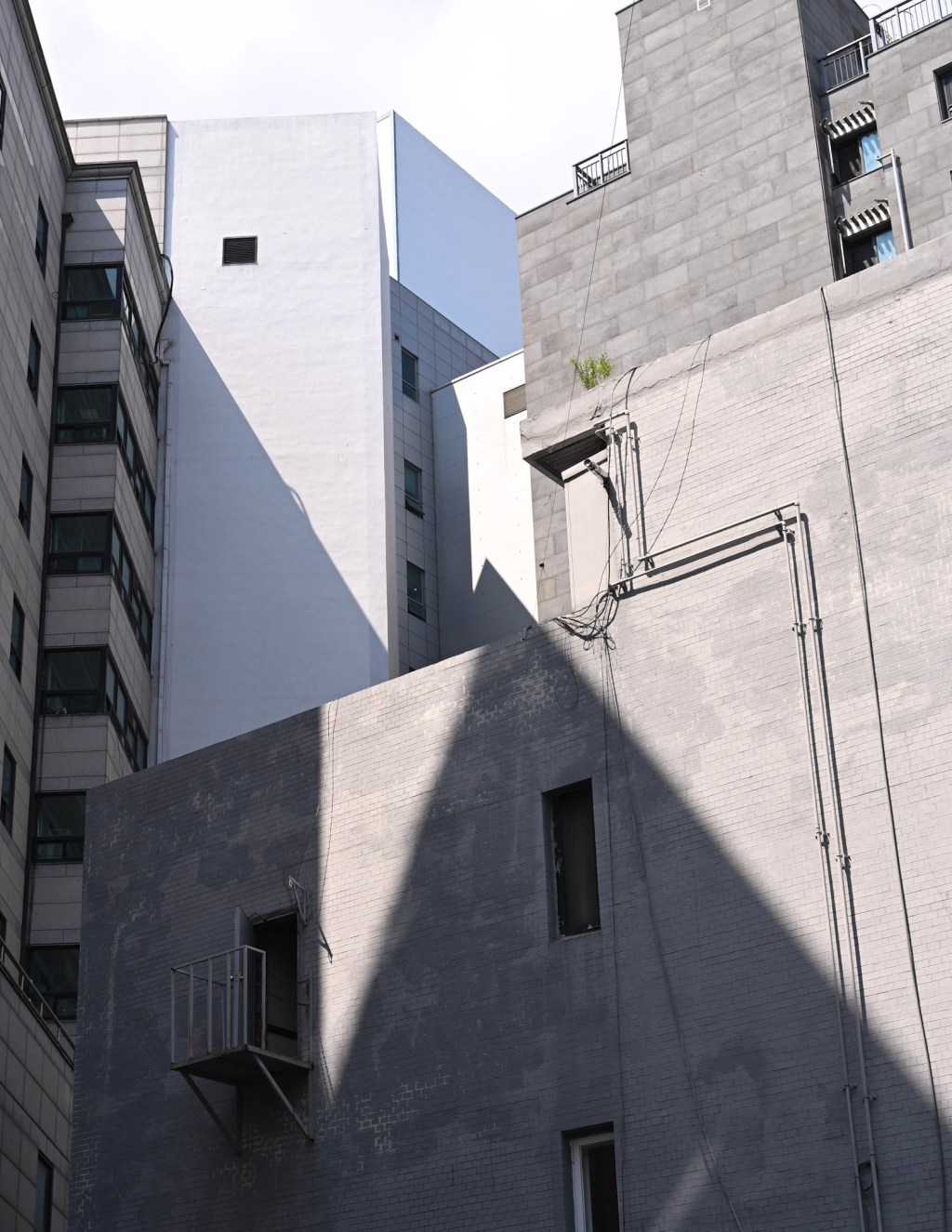 #384. 사진으로 놀기