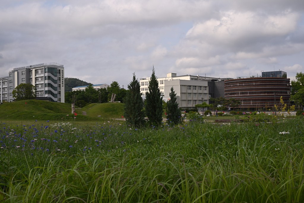 #393. ‘연결감’과 ‘햇빛’을 액자와 프린트에 물성적 특성으로도 반영하기. + 아주 오랜만에 오늘의&nbsp;(산책)사진.