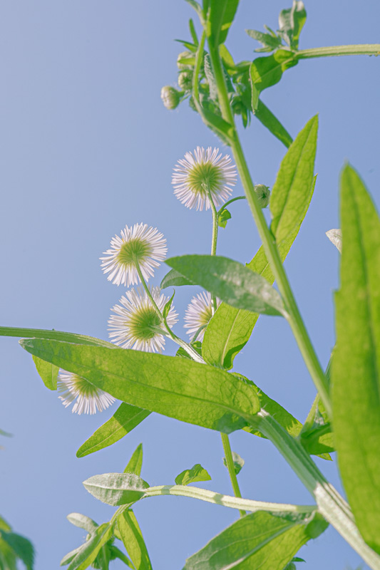 #408. 자기 보이스를 갖기 + 그림자는 응달을 암시하여 시원하다