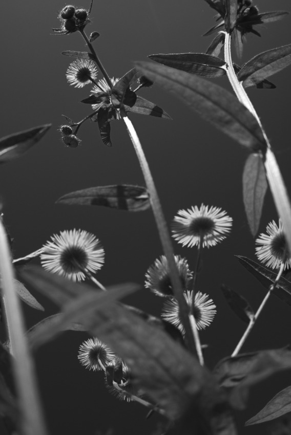 #407. 흑백/왼쪽눈으로 찍다 + 온라인 포폴화 기초작업 돌입.