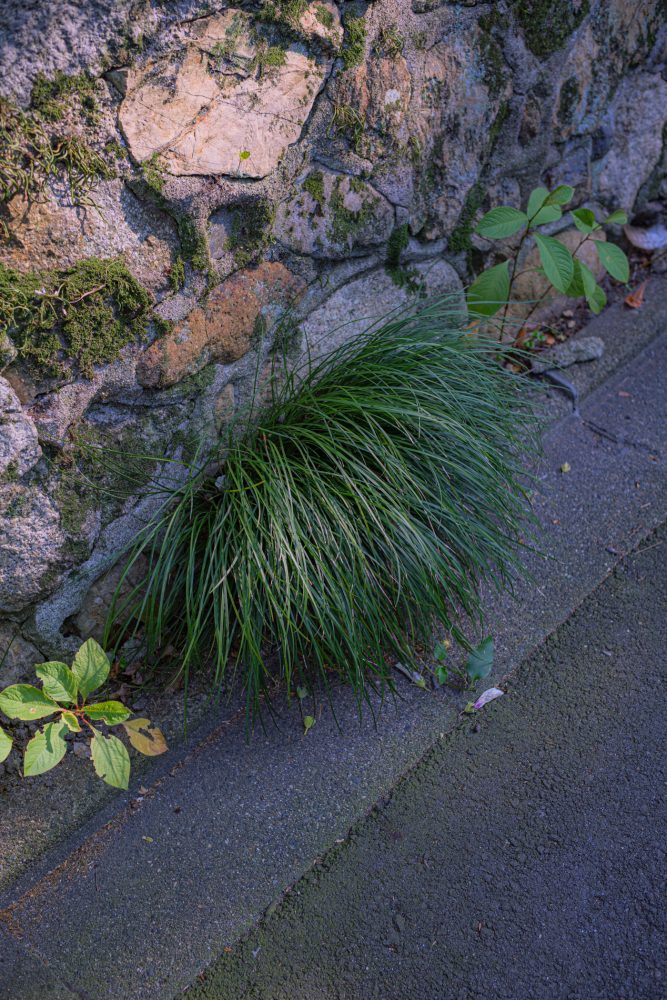 #427. 7월 중간회고: 放學(배움을 놓다) + 지난 2년여동안 펼쳐놓은 생각에 대해 듬성듬성 정리를 하다.