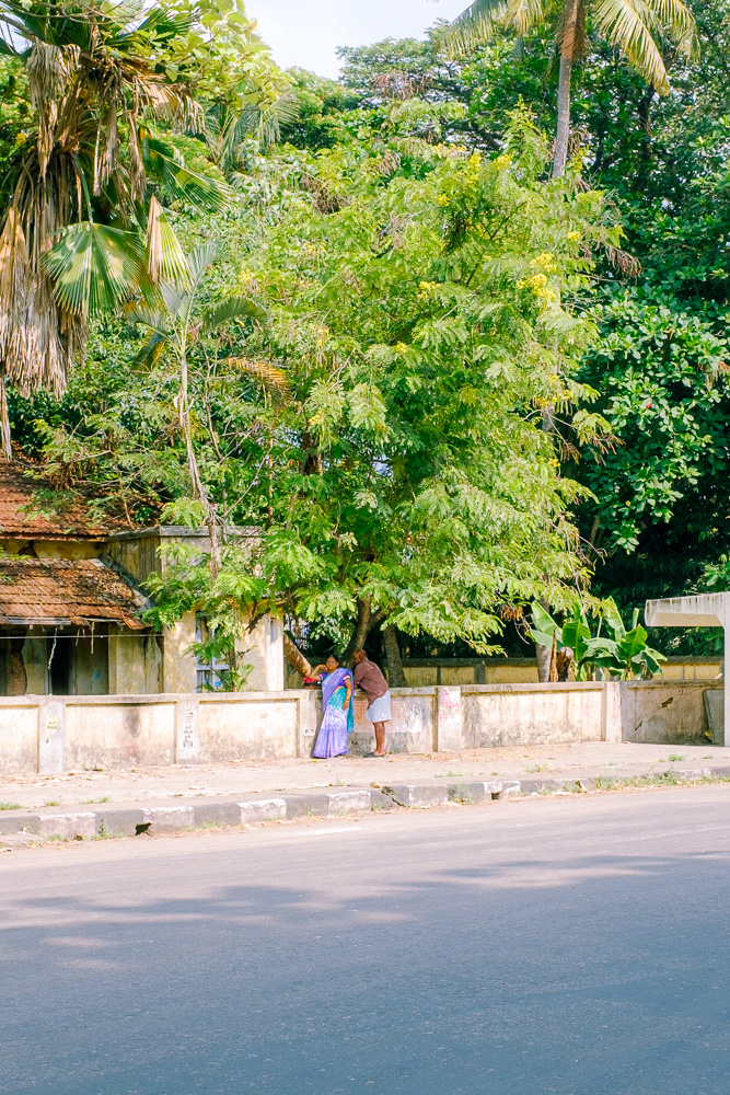 #428. 기획하기. 사진+IT+경제학. 내 사진으로 Copyright 권리관리용 NFT & 소각베이스 RWA 연동 NFT 실험