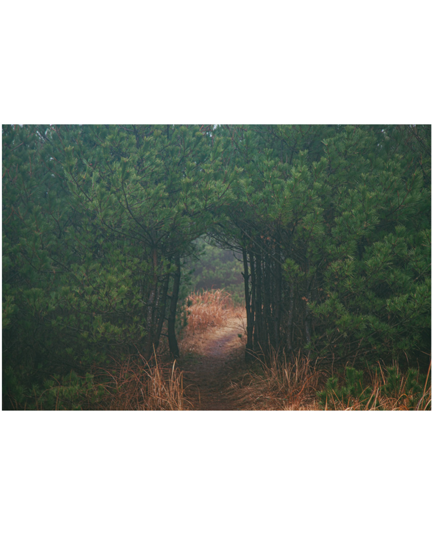 #434. 오늘 한 거. 2012 제주사진 다시보기 (3)