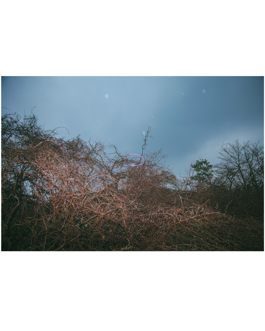 #433. 2012년도 사진 정리중 세번째. 내가 제주에 간 건 기억이 나는데 무슨 일로 돌아다닌 건지는 잘.