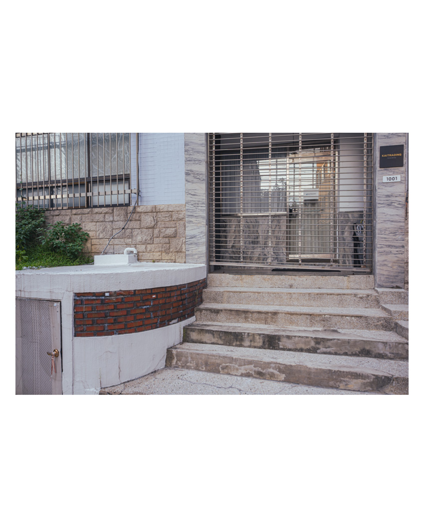 #440. NFT 실험발행 콜렉션명 ‘timestamps of life’ + 어디까지가 진짜고 어디서부터 그림자일지.