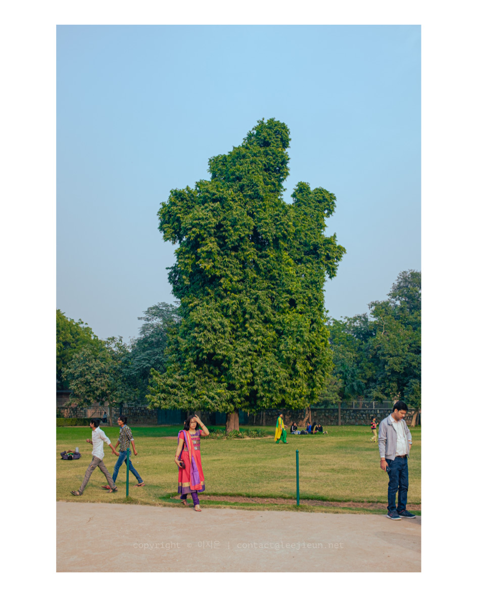 2015. India — Delhi&nbsp;NCR.