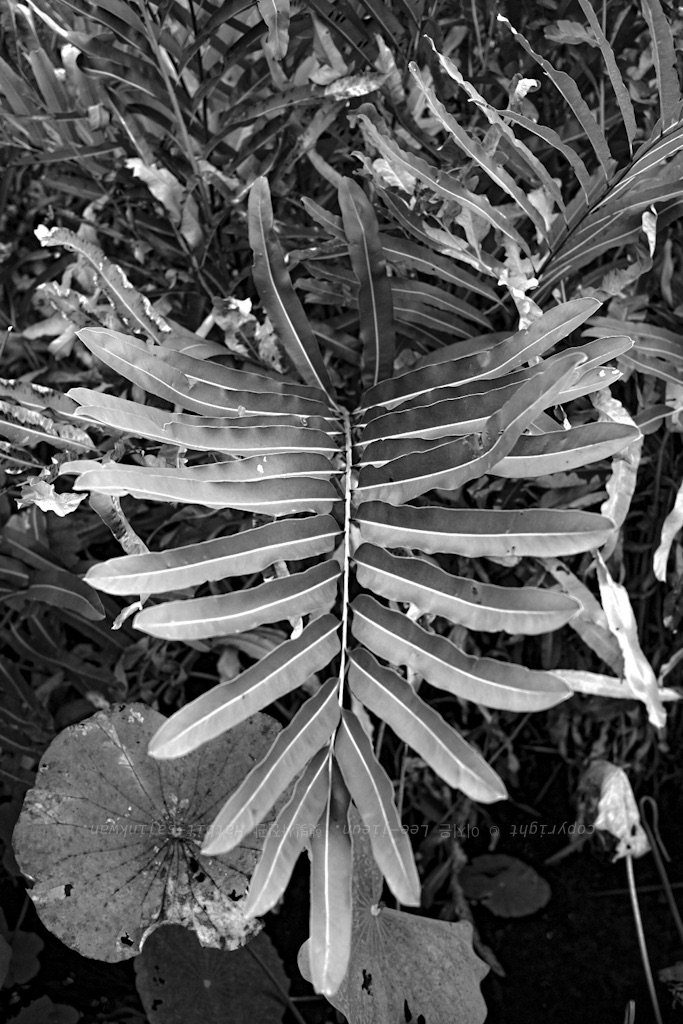 #457. 지금 오슬로에 와있다.