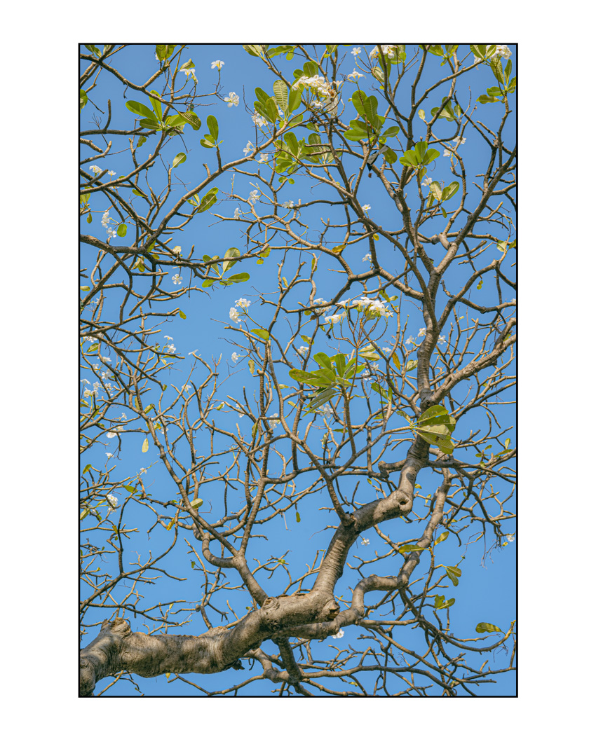 #471. 공동현실 구축이 왜 중요한지에 대해: 혼자보단 여럿이 멀리 가기 위해서.